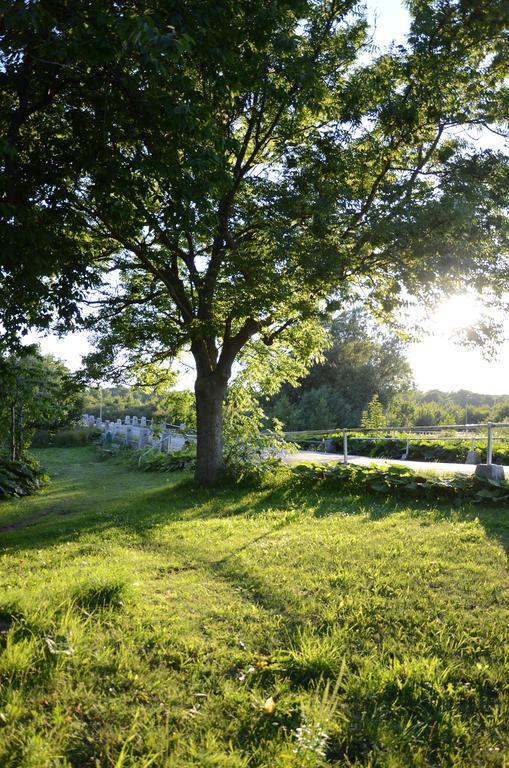 Tobisviks Camping Simrishamn Bagian luar foto